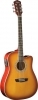 Washburn WA90 CE TS Washburn WA90 CE TS